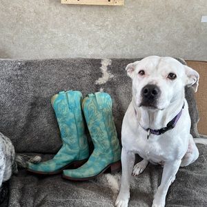 1883 Lucchese Women’s Cowgirl Boots.